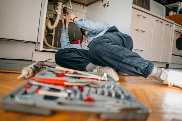 Best Sprinkler Systems  in Spicer, MN